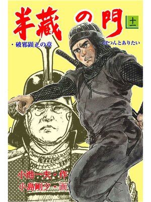 cover image of 半蔵の門11